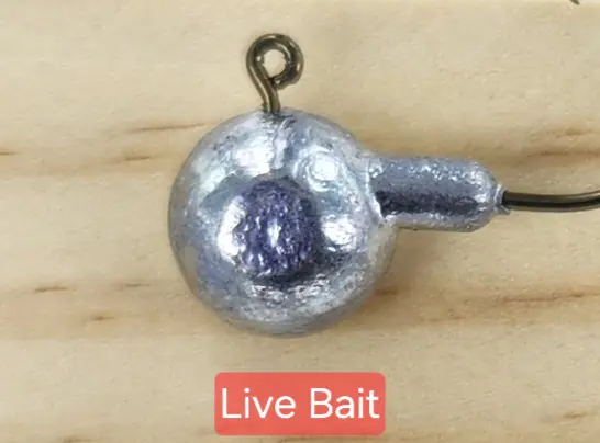 A close up of the live bait hook