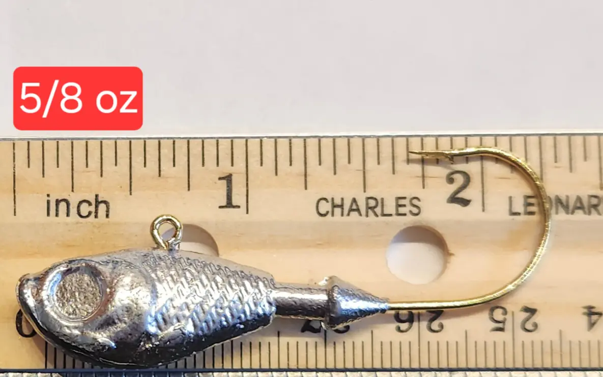 A small metal fish is on top of a ruler.